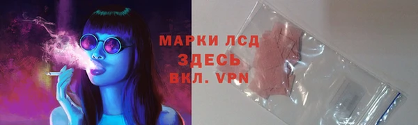 эйфоретик Аркадак