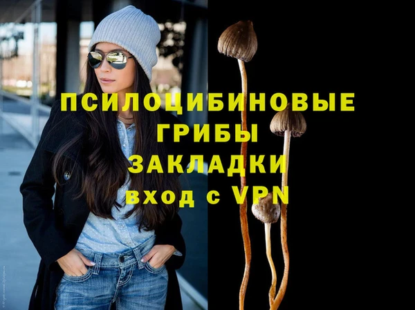 эйфоретик Аркадак