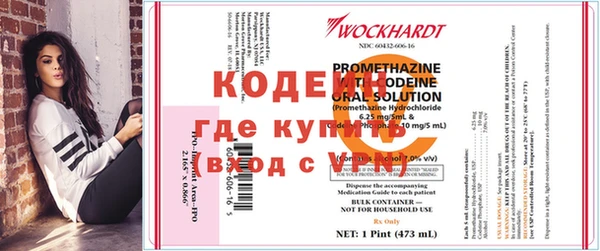 эйфоретик Аркадак