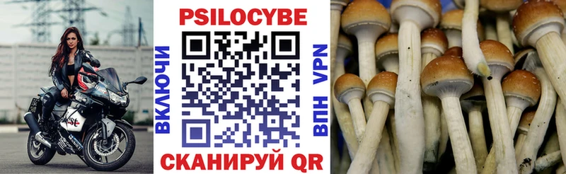Псилоцибиновые грибы Magic Shrooms  Отрадная 